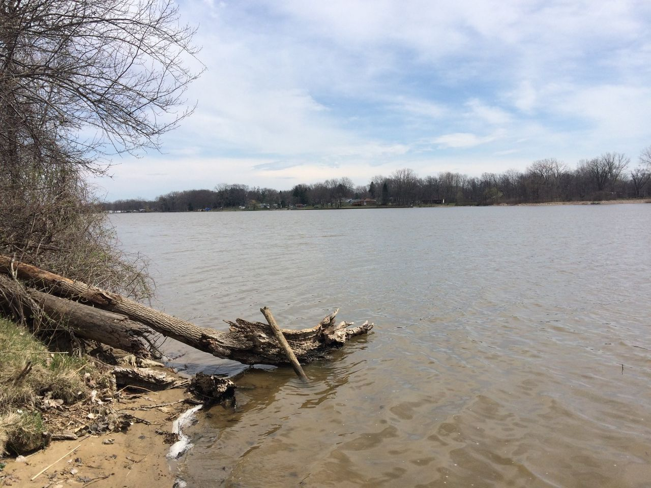 Kearsley Lake Shoreline